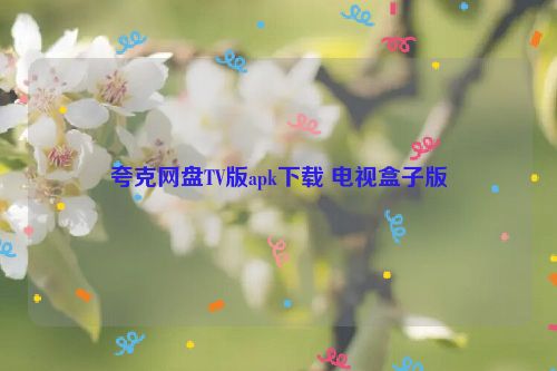 夸克网盘TV版apk下载 电视盒子版